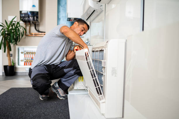 Best Residential Air Duct Cleaning  in Petersburg, MI